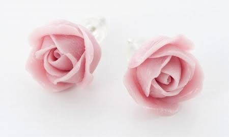 薔薇の画像を持ち寄りましょう