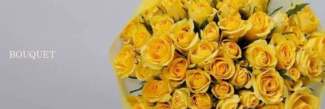 薔薇の画像を持ち寄りましょう