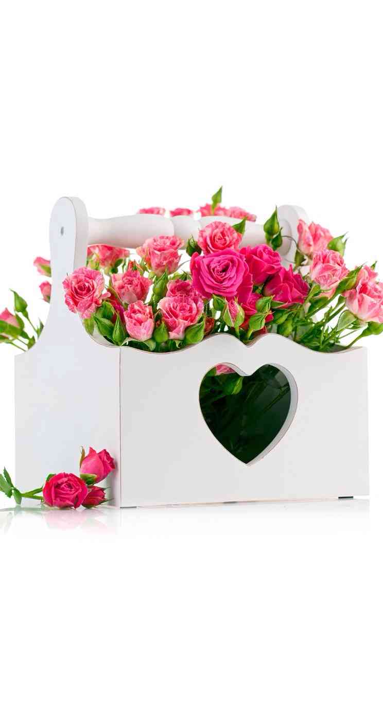 薔薇の画像を持ち寄りましょう