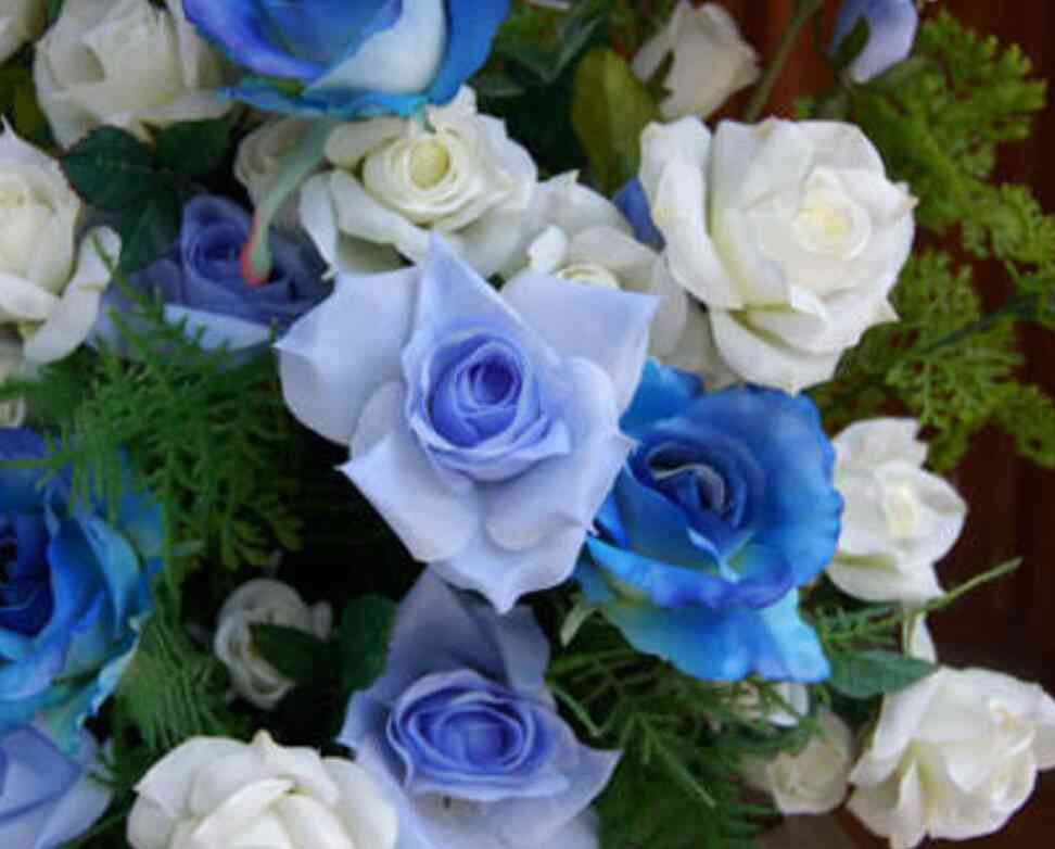 薔薇の画像を持ち寄りましょう