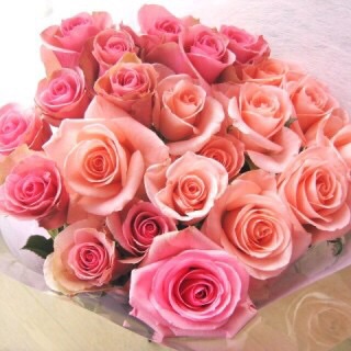 薔薇の画像を持ち寄りましょう