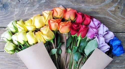 薔薇の画像を持ち寄りましょう