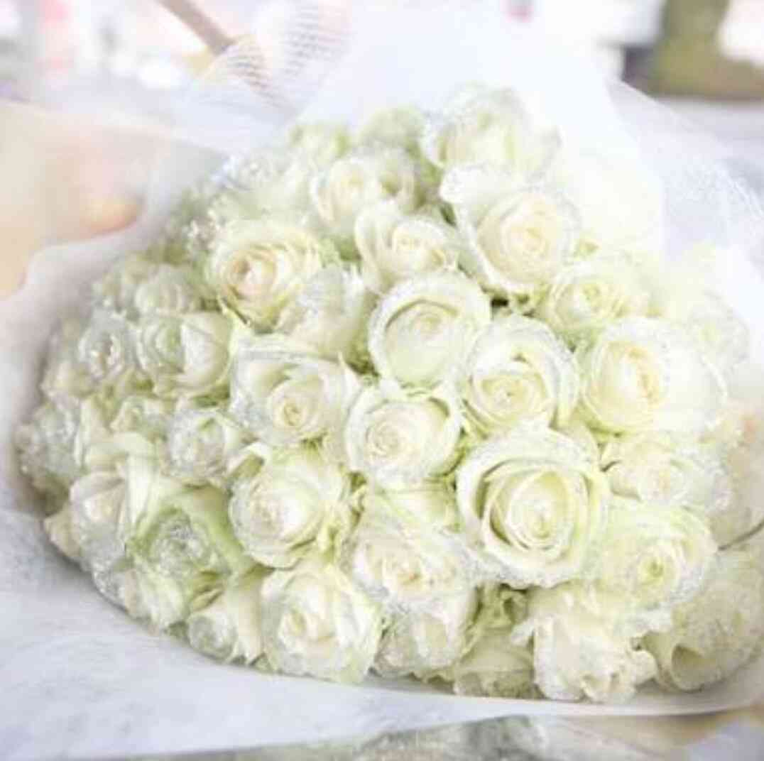 薔薇の画像を持ち寄りましょう