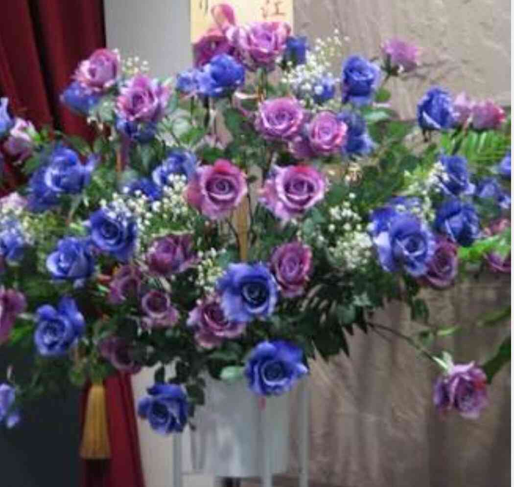 薔薇の画像を持ち寄りましょう