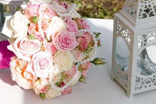 薔薇の画像を持ち寄りましょう