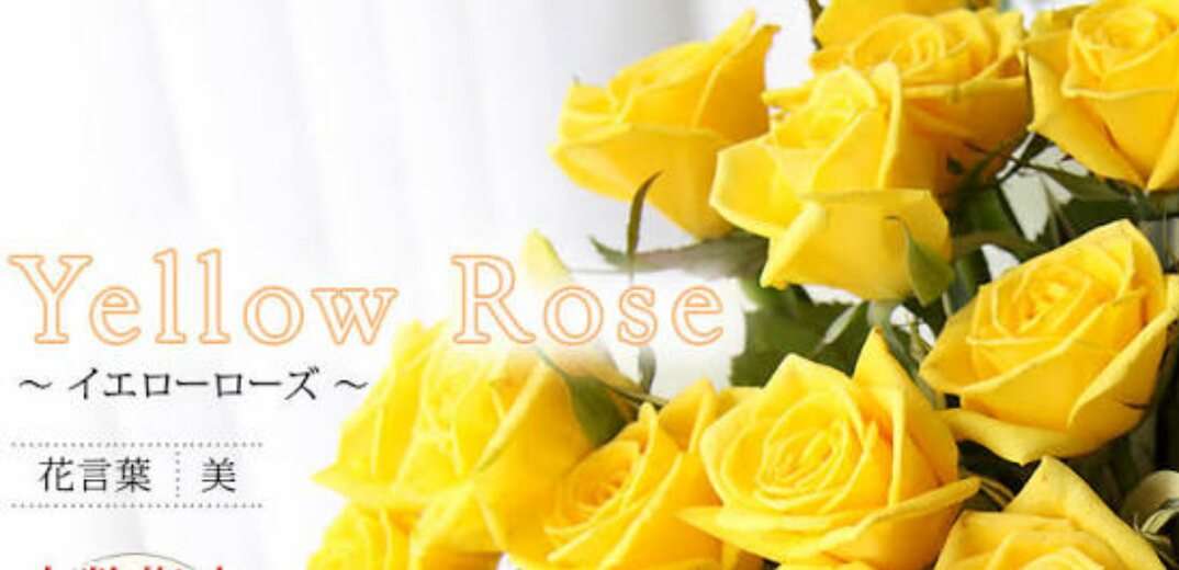 薔薇の画像を持ち寄りましょう