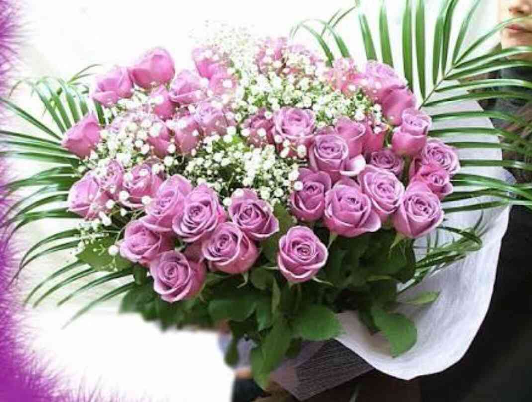 薔薇の画像を持ち寄りましょう