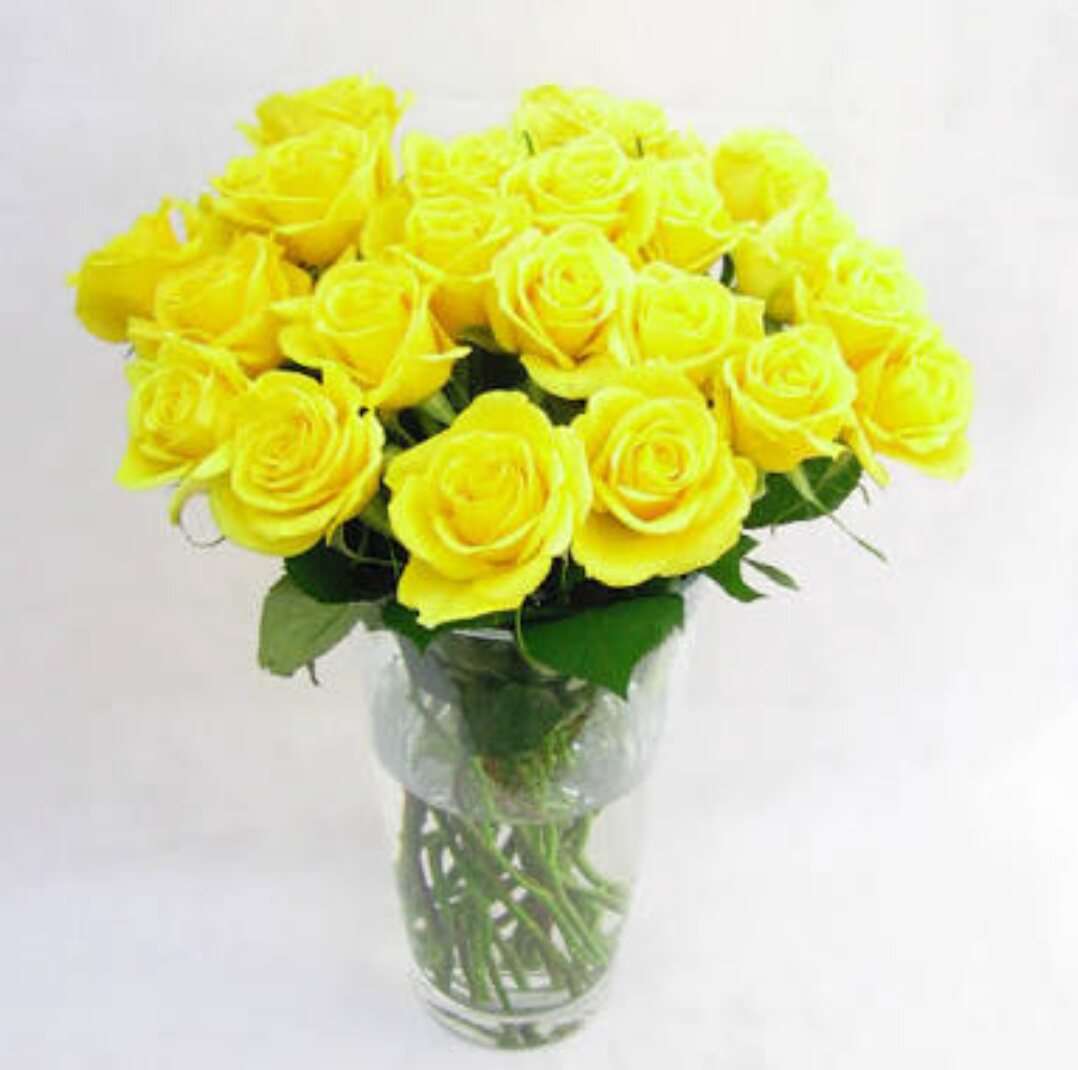 薔薇の画像を持ち寄りましょう