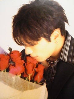 薔薇の画像を持ち寄りましょう