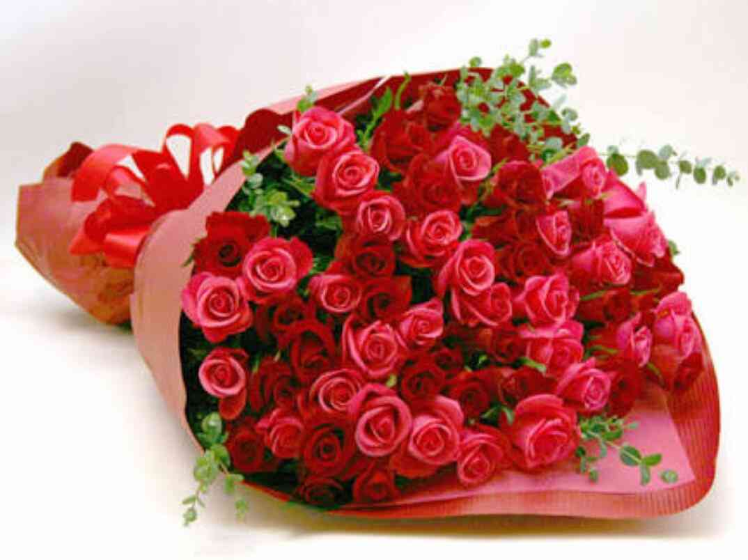 薔薇の画像を持ち寄りましょう