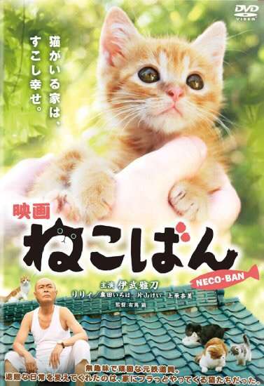 地味だけど好きなドラマ