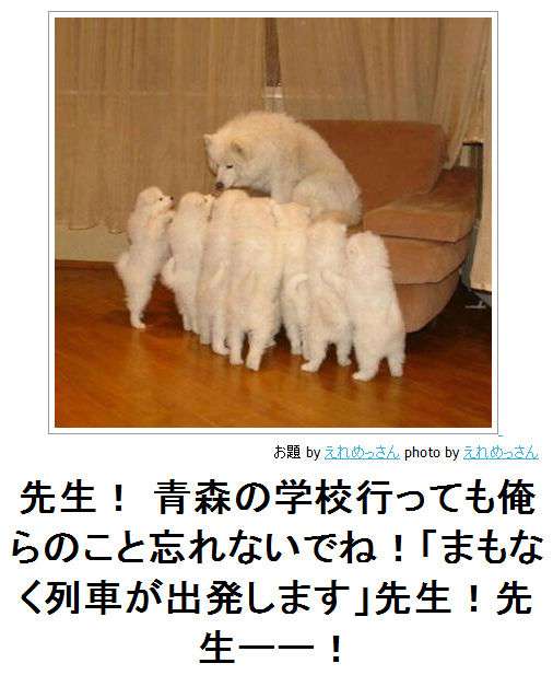 今までで一番笑った画像を貼ろう