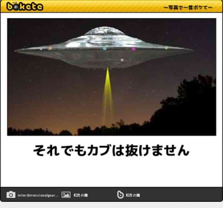 今までで一番笑った画像を貼ろう