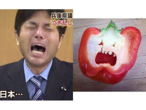 今までで一番笑った画像を貼ろう