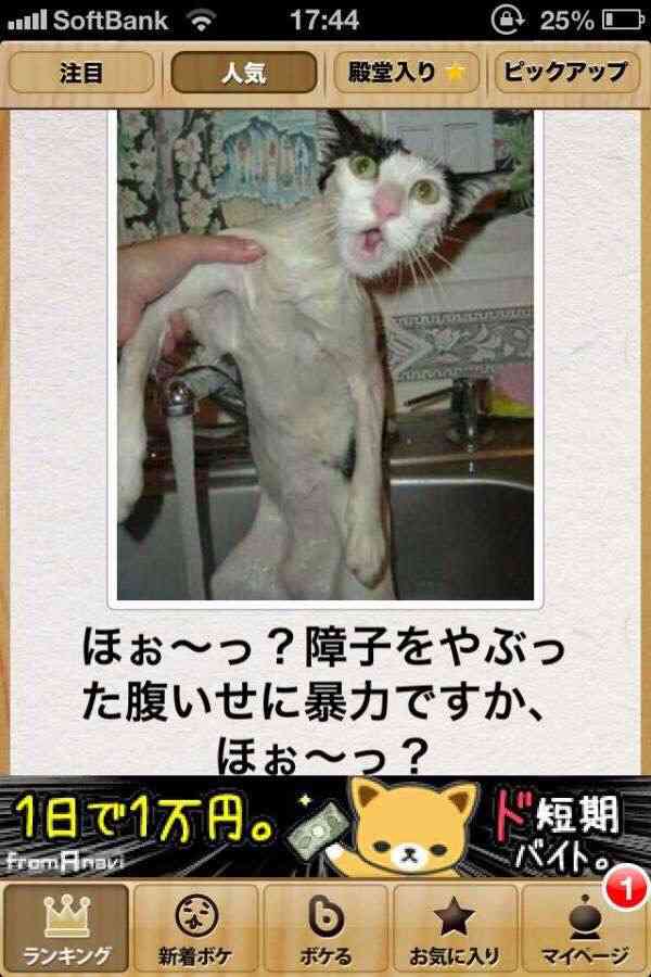今までで一番笑った画像を貼ろう