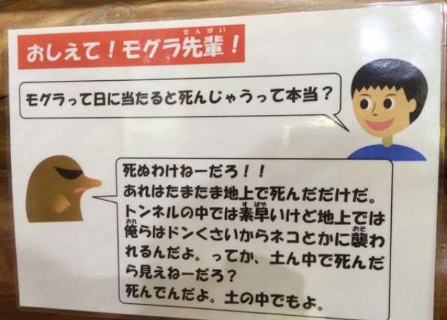今までで一番笑った画像を貼ろう