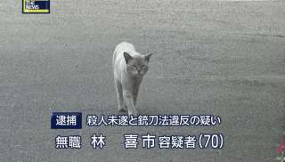今までで一番笑った画像を貼ろう