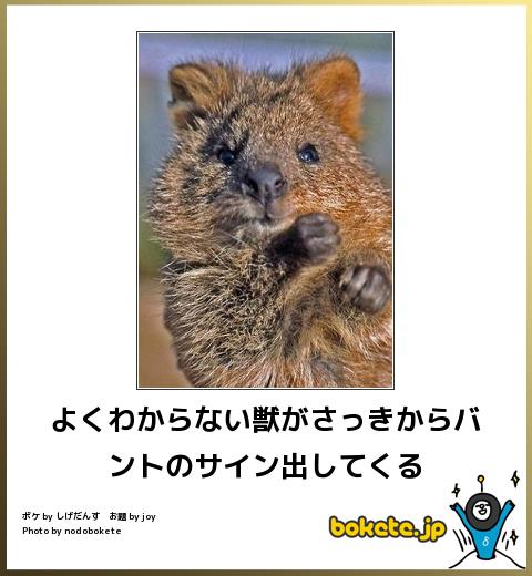 今までで一番笑った画像を貼ろう