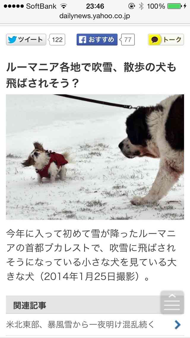 今までで一番笑った画像を貼ろう