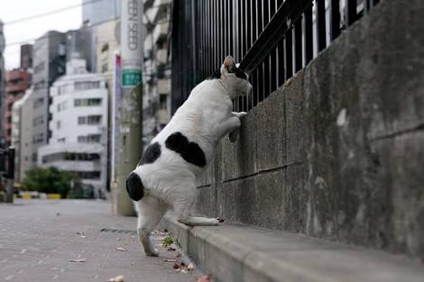 「どこ見てんの？w」っていう画像が集まるトピ