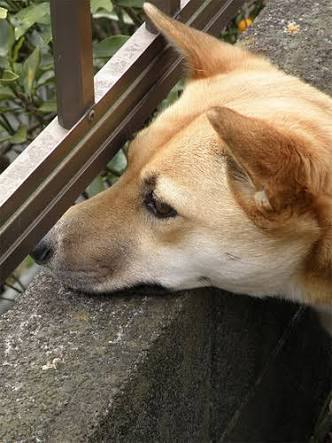 「どこ見てんの？w」っていう画像が集まるトピ