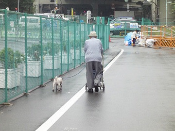 街で見かけた可愛いおじいちゃん・おばあちゃん