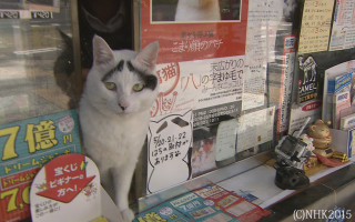 縁起がいいもの