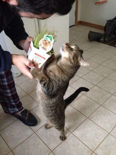 今年の自分へのクリスマスプレゼント！