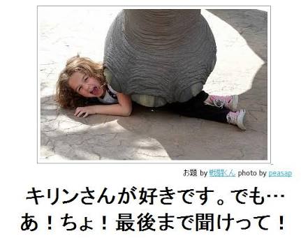 ペットの「コントか!」と思う瞬間