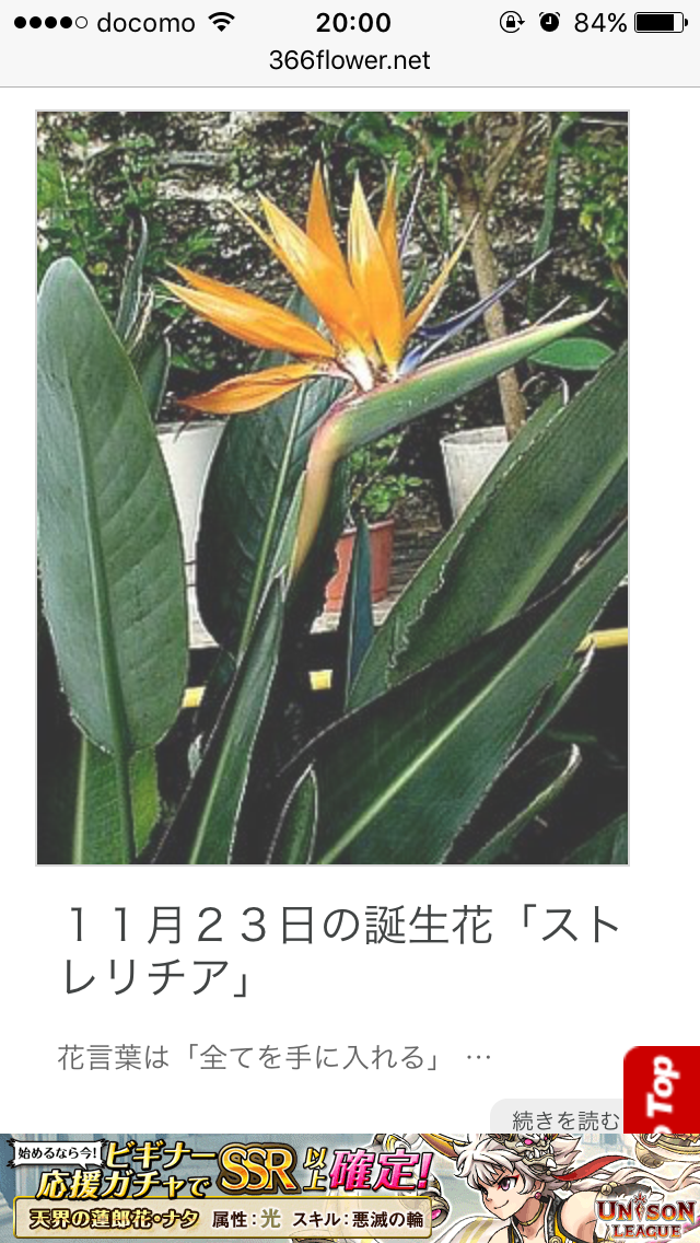 11月生まれの方!