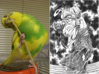 完全一致画像で笑うトピ