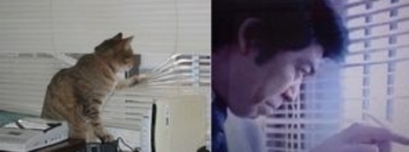 完全一致画像で笑うトピ