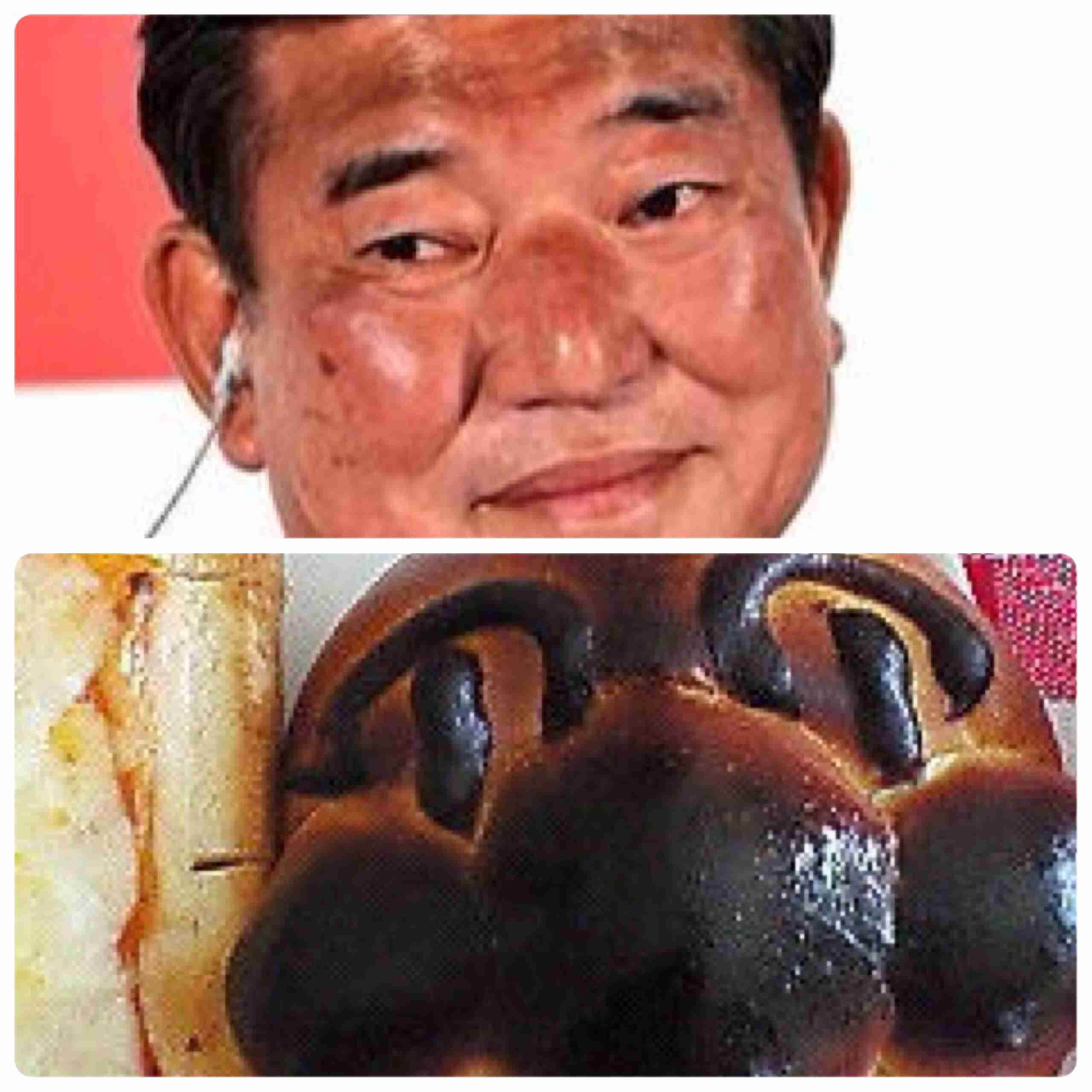 完全一致画像で笑うトピ