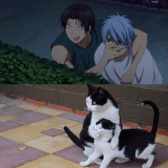完全一致画像で笑うトピ