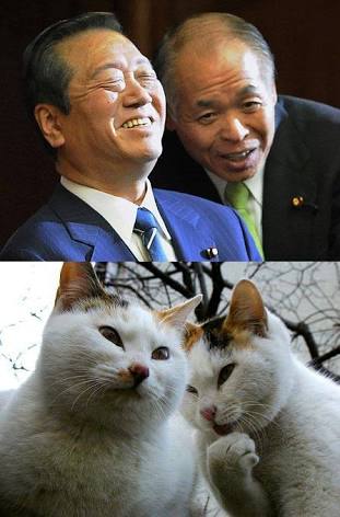 完全一致画像で笑うトピ