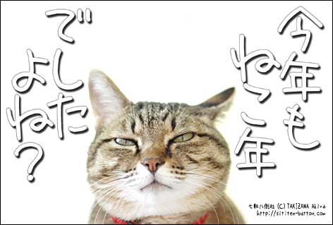 視聴者満足度が今年最も高かった番組 猫人気が鮮明に。アイドルもお笑いタレントもかなわず 