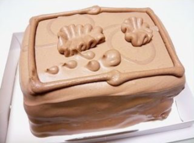 ケーキでは何が好きですか?