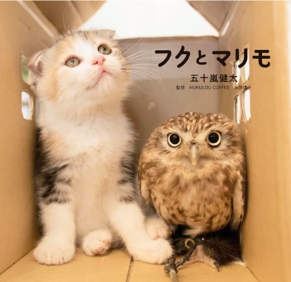 かわいい画像を貼るトピ