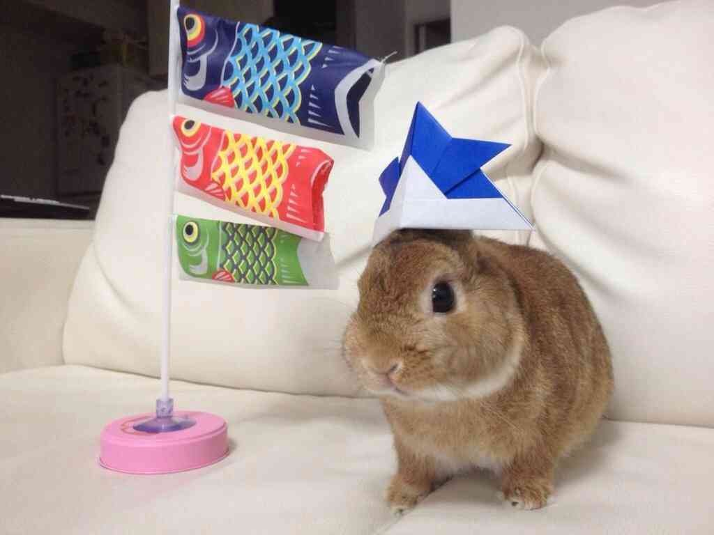 かわいい画像を貼るトピ