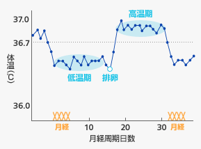 毎日記録している事がありますか？