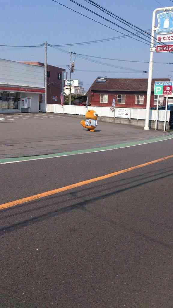 今年ガルちゃんで拾った画像
