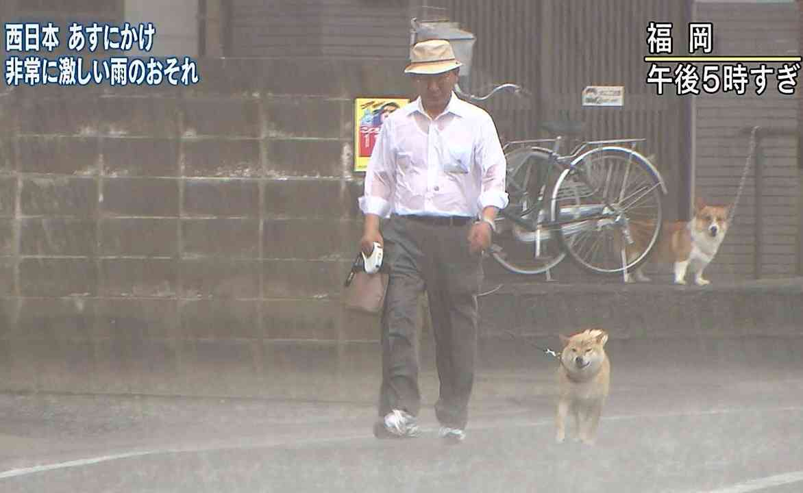 今年ガルちゃんで拾った画像