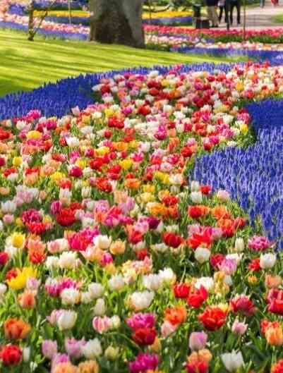 ついつい忘れてしまうこと