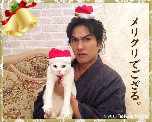 クリスマス×動物の画像下さい!