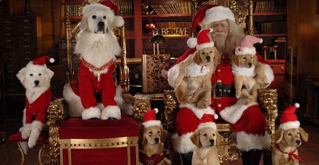 クリスマス×動物の画像下さい!