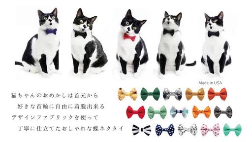 ねこ画像で癒されるトピ4