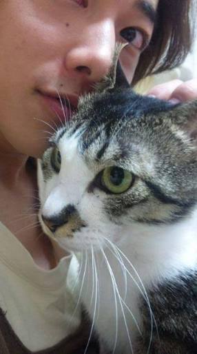 ねこ画像で癒されるトピ4