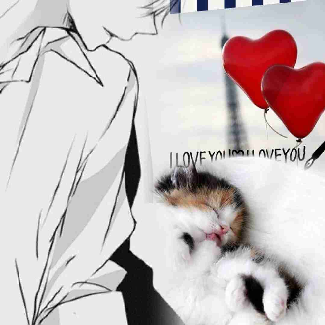 ねこ画像で癒されるトピ4