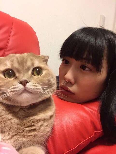 ねこ画像で癒されるトピ4
