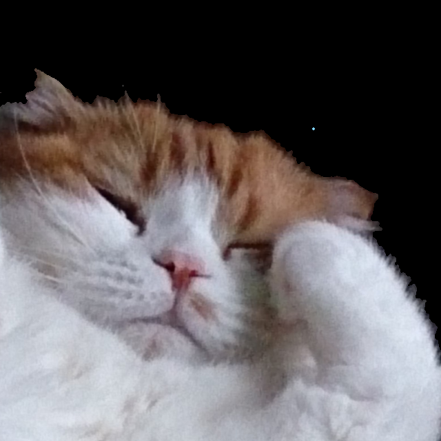 ねこ画像で癒されるトピ4